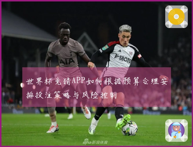 世界杯竞猜APP如何根据预算合理安排投注策略与风险控制